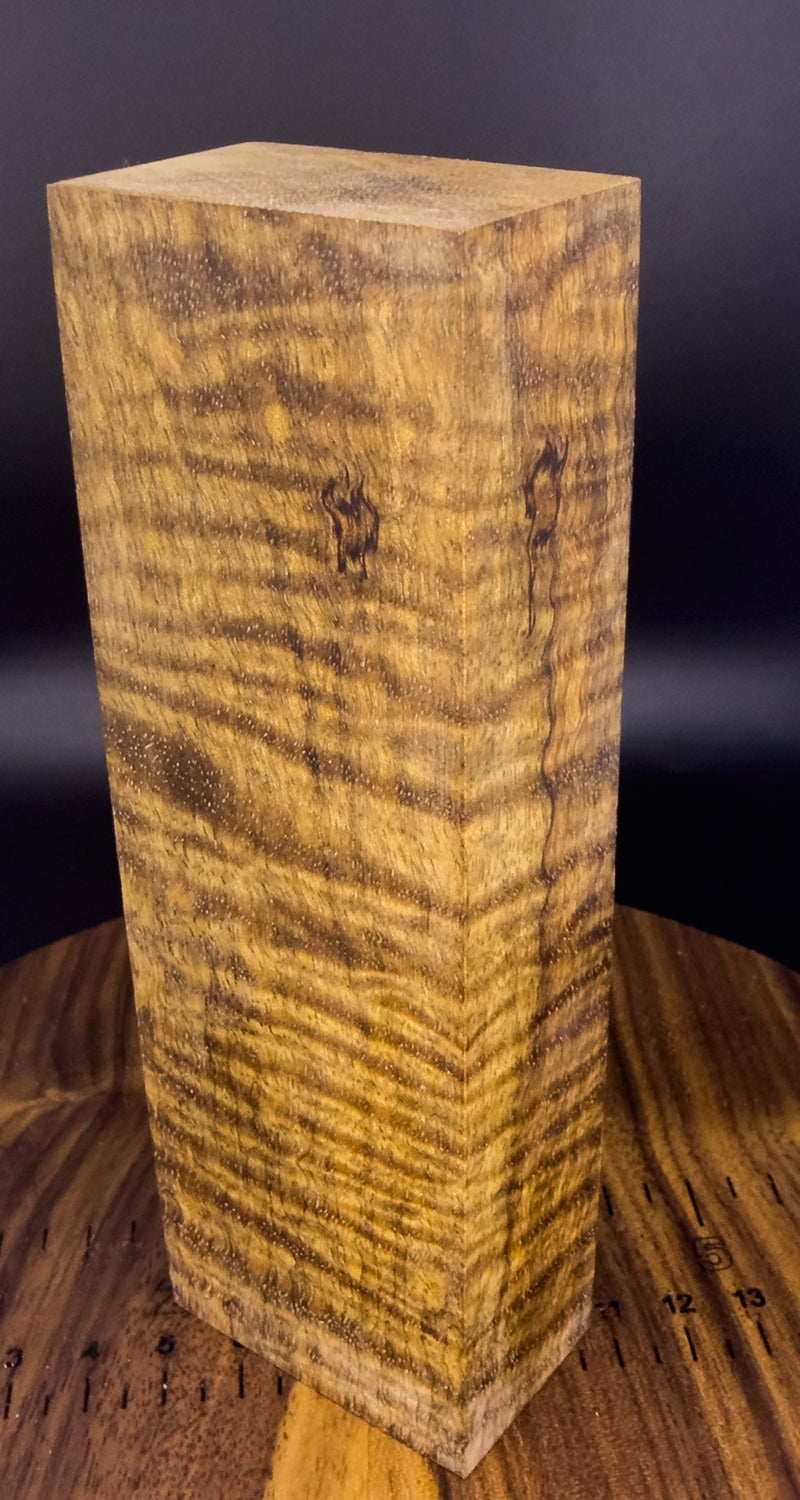 Curly Mango (Stabilized)#2