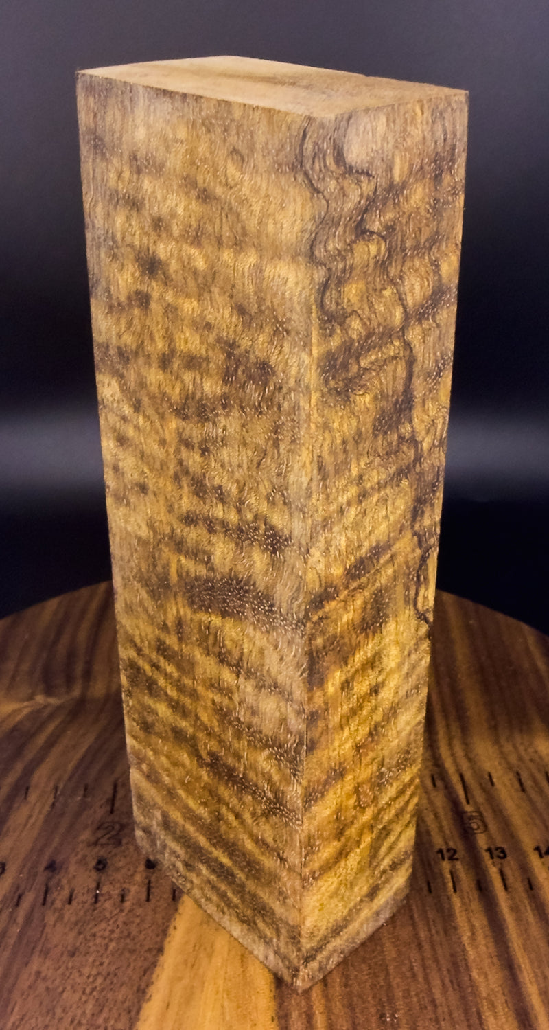 Curly Mango (Stabilized)#1
