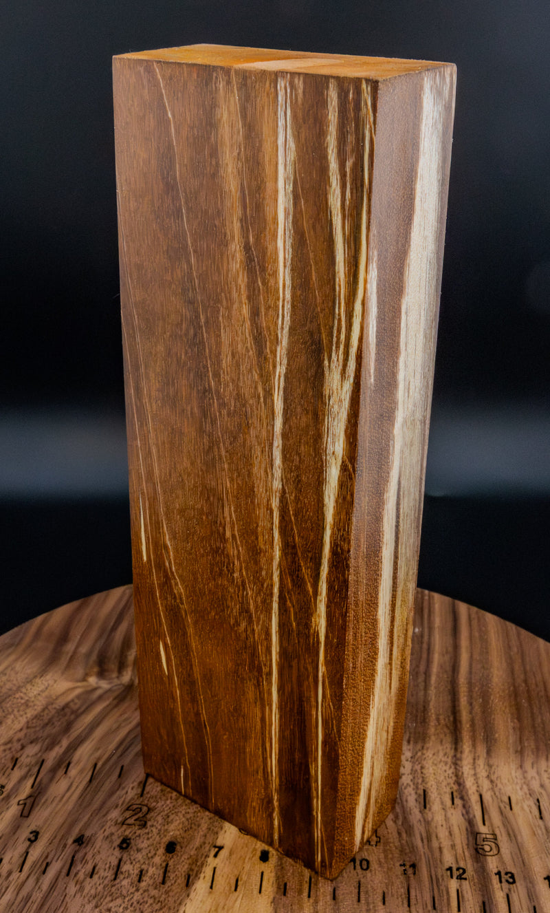 Ambrosia Maple (Stabilized) #23
