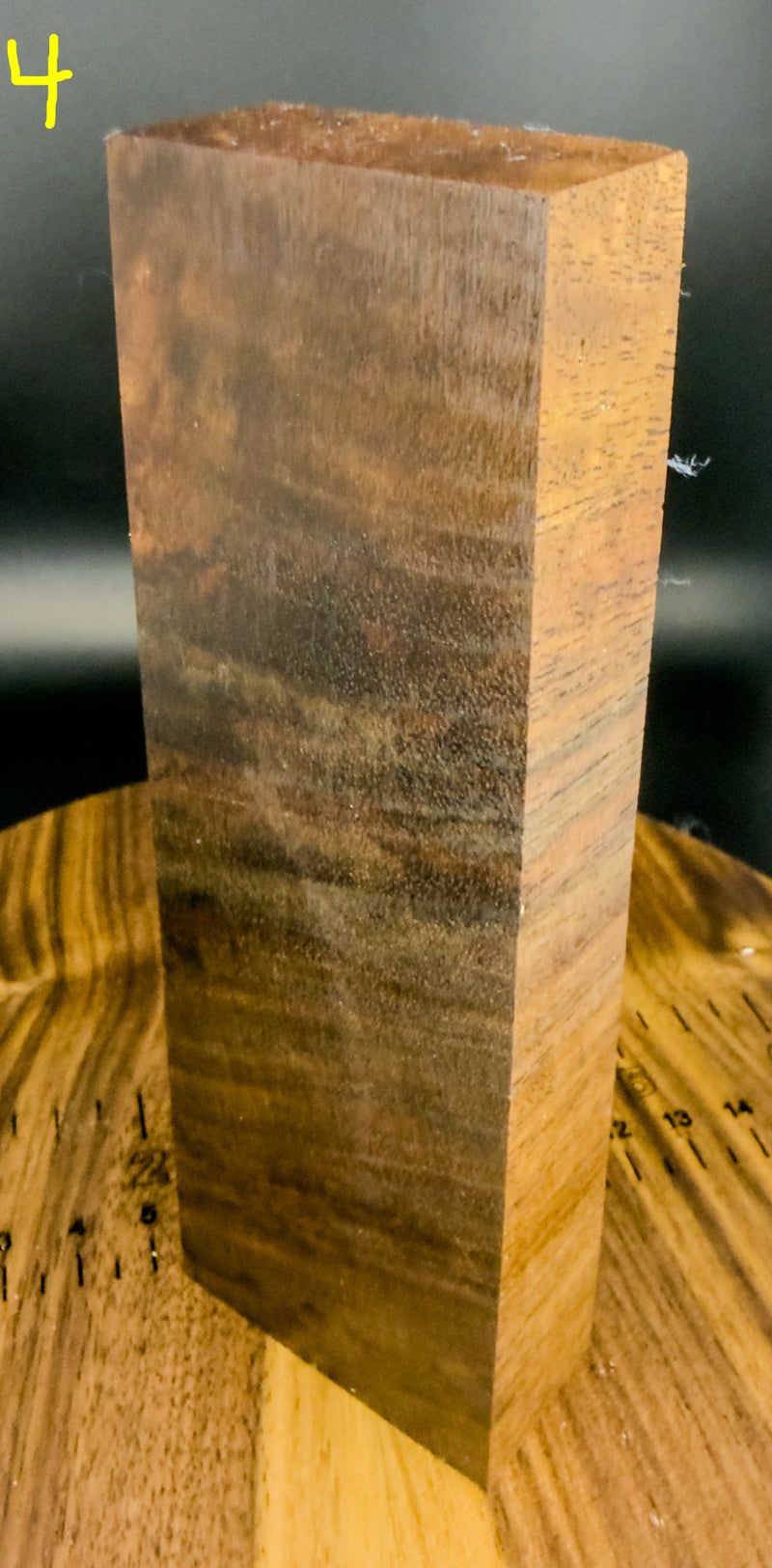 Claro walnut blank
