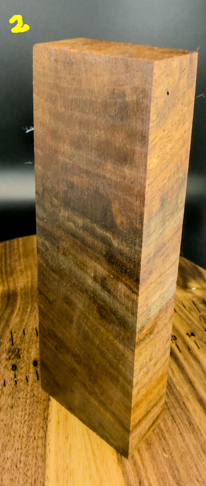 Claro walnut blank