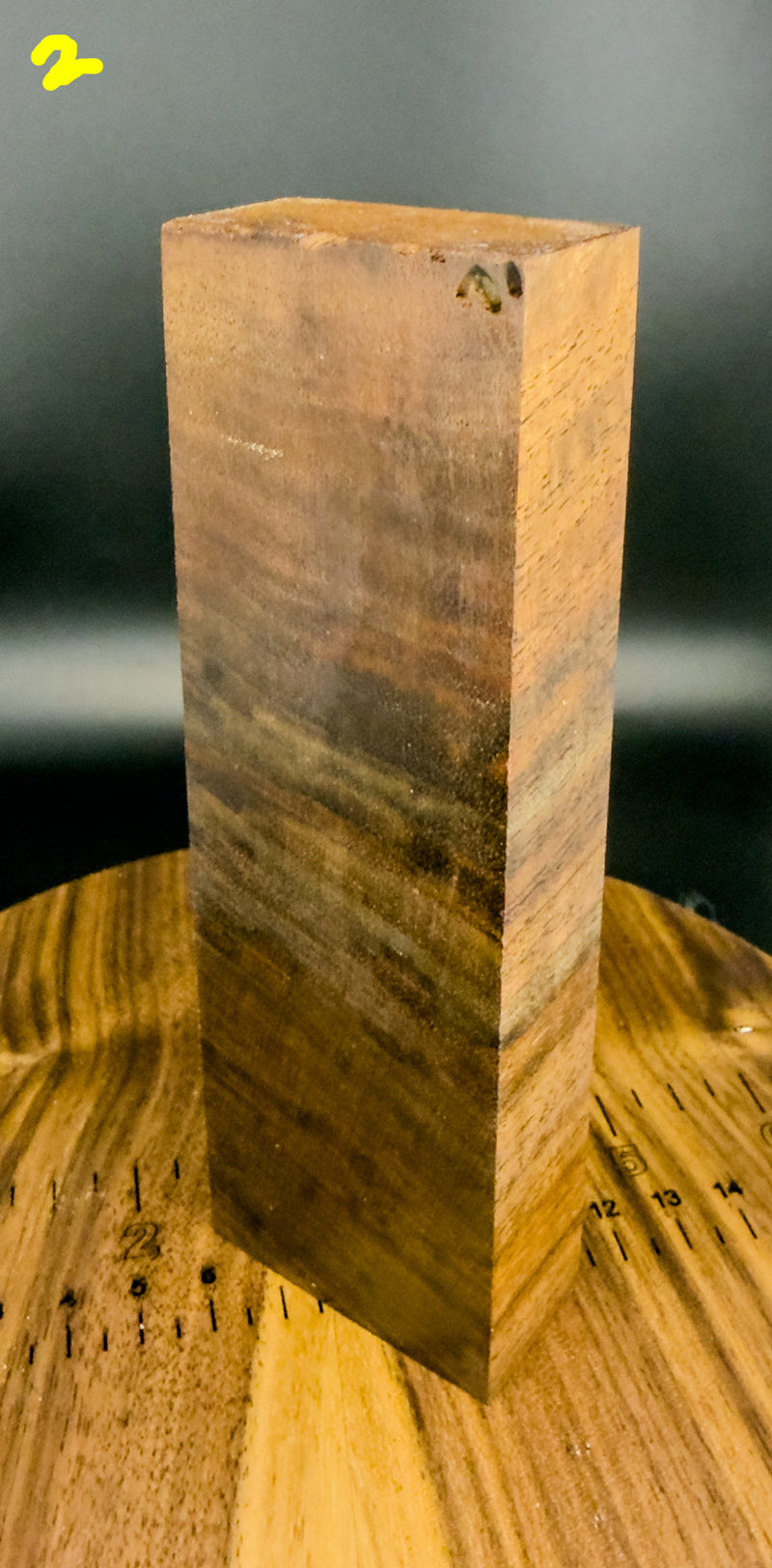 Claro walnut blank
